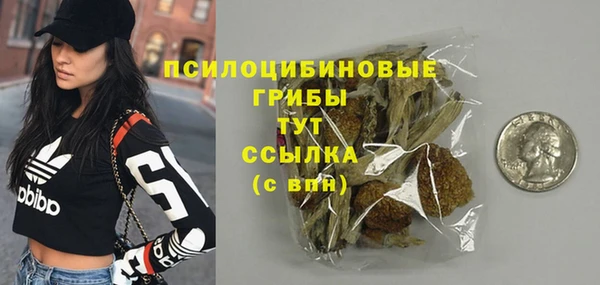 молекула духа Костерёво