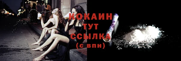 молекула духа Костерёво
