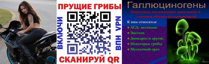 Псилоцибиновые грибы прущие грибы  Нестеровская 